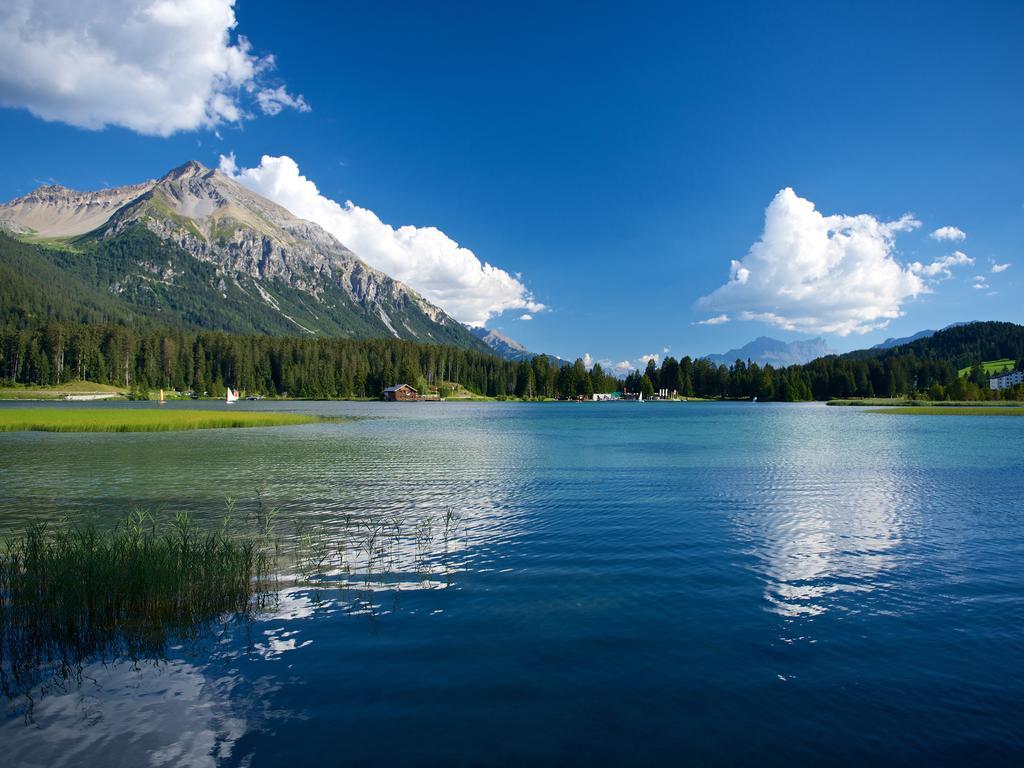 Schweizerhof Ferienwohnungen Lenzerheide 1 מראה חיצוני תמונה